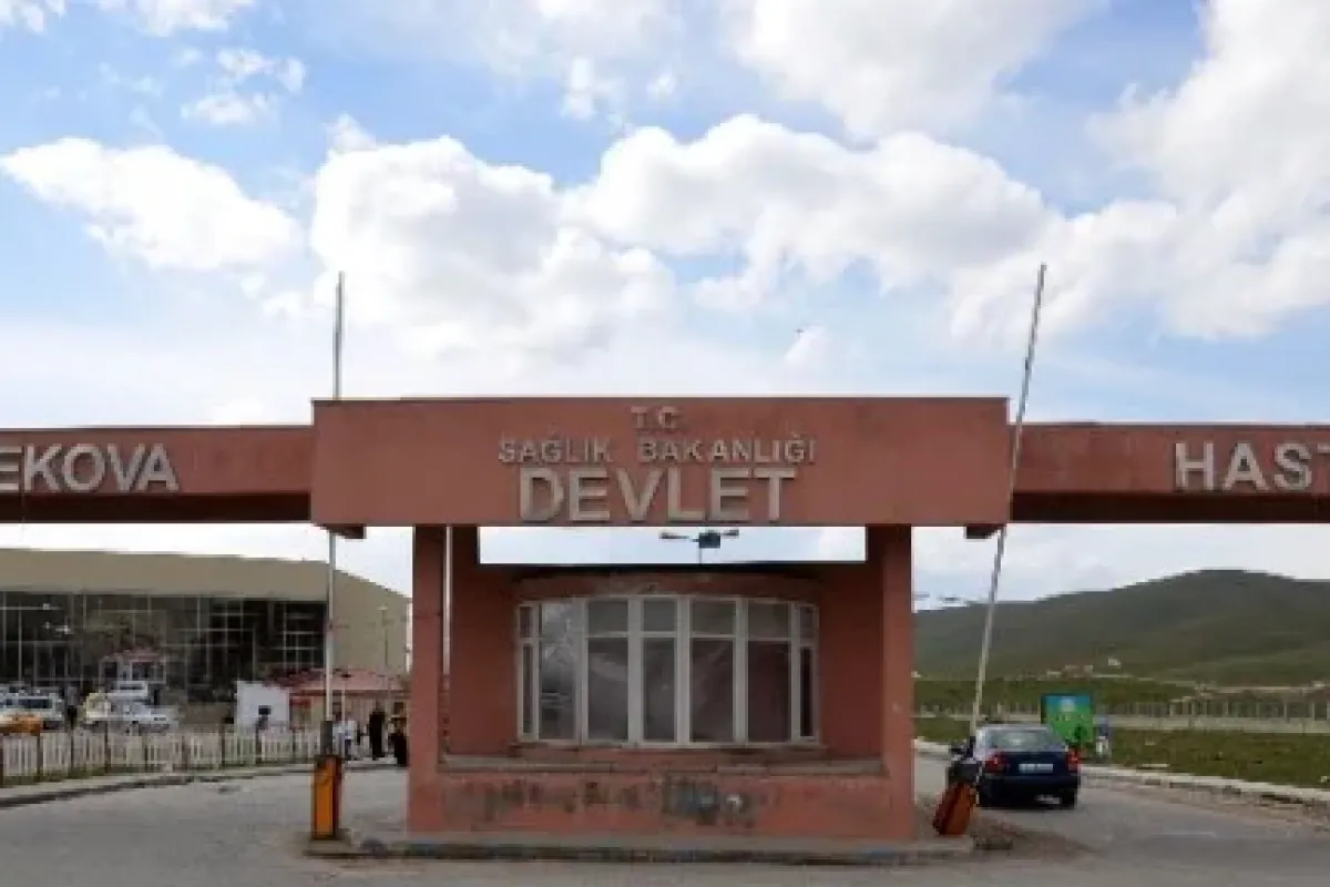 Hakkari’de ’domuz gribi’ şüphesi