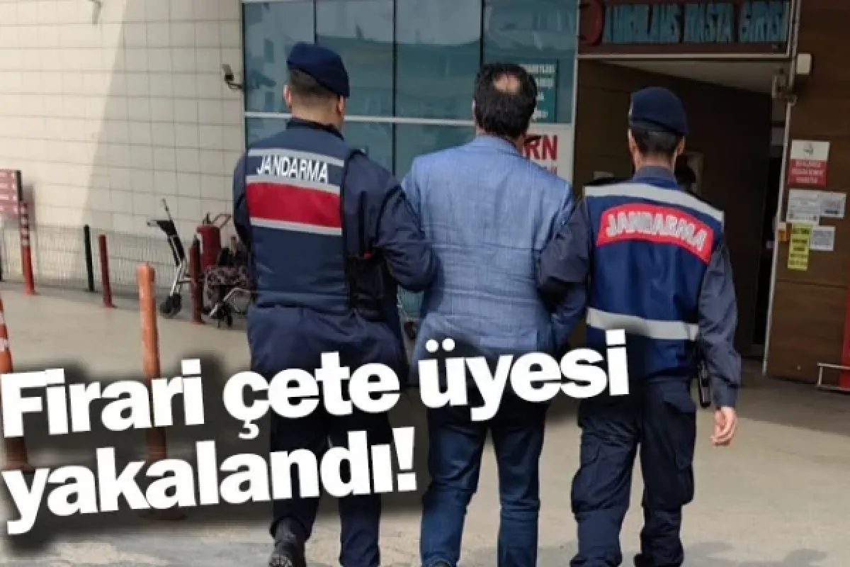 Firari çete üyesi yakalandı!