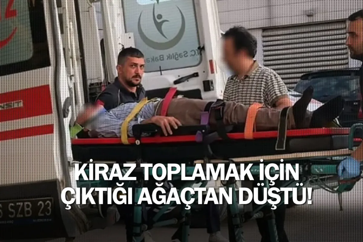 Kiraz toplamak için çıktığı ağaçtan düştü!