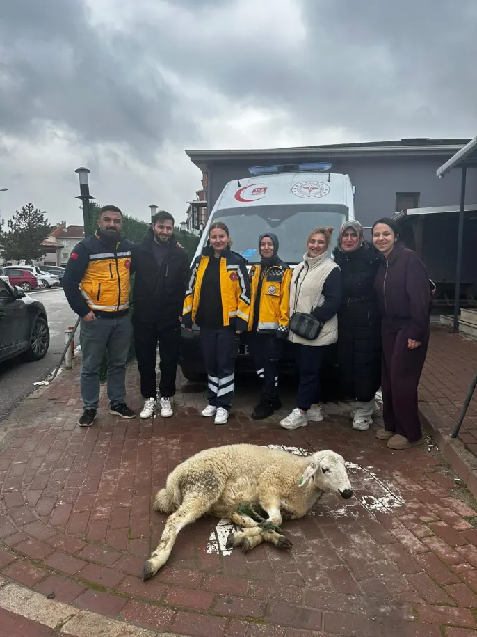 Ambulans için kurban kestiler
