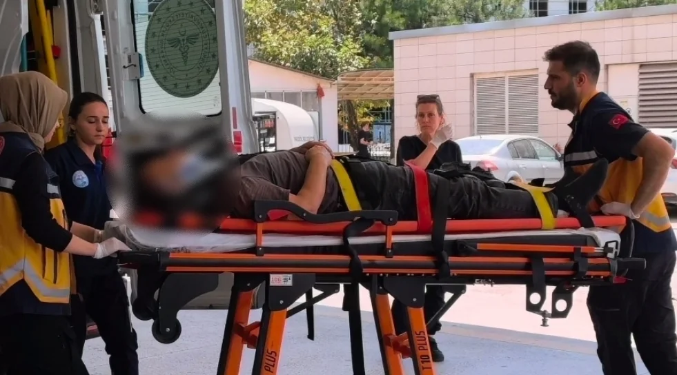 Üzüm toplamak isterken hastanelik oldu!