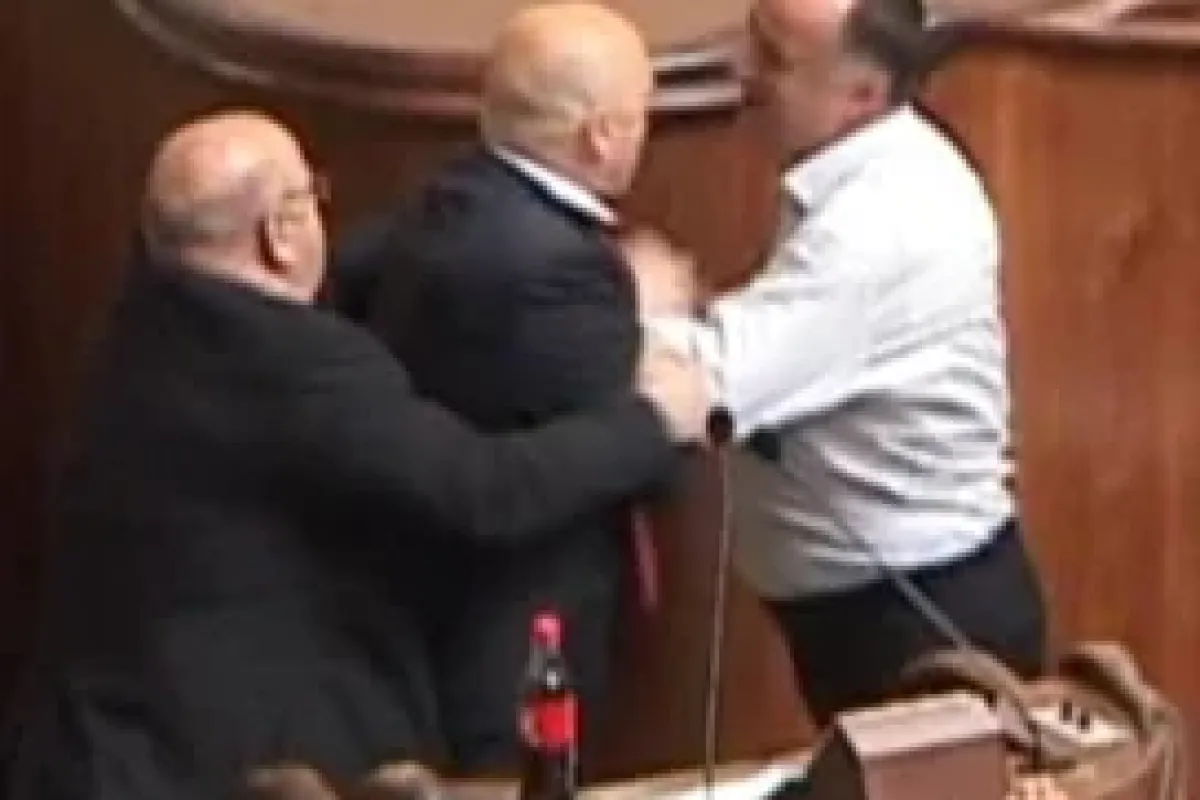 Parlamentoda yumruklu 'soykırım' kavgası