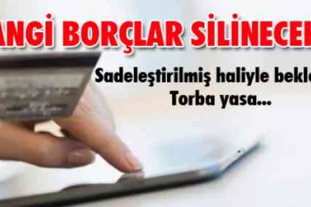Vatandaşın hangi borçları silinecek?