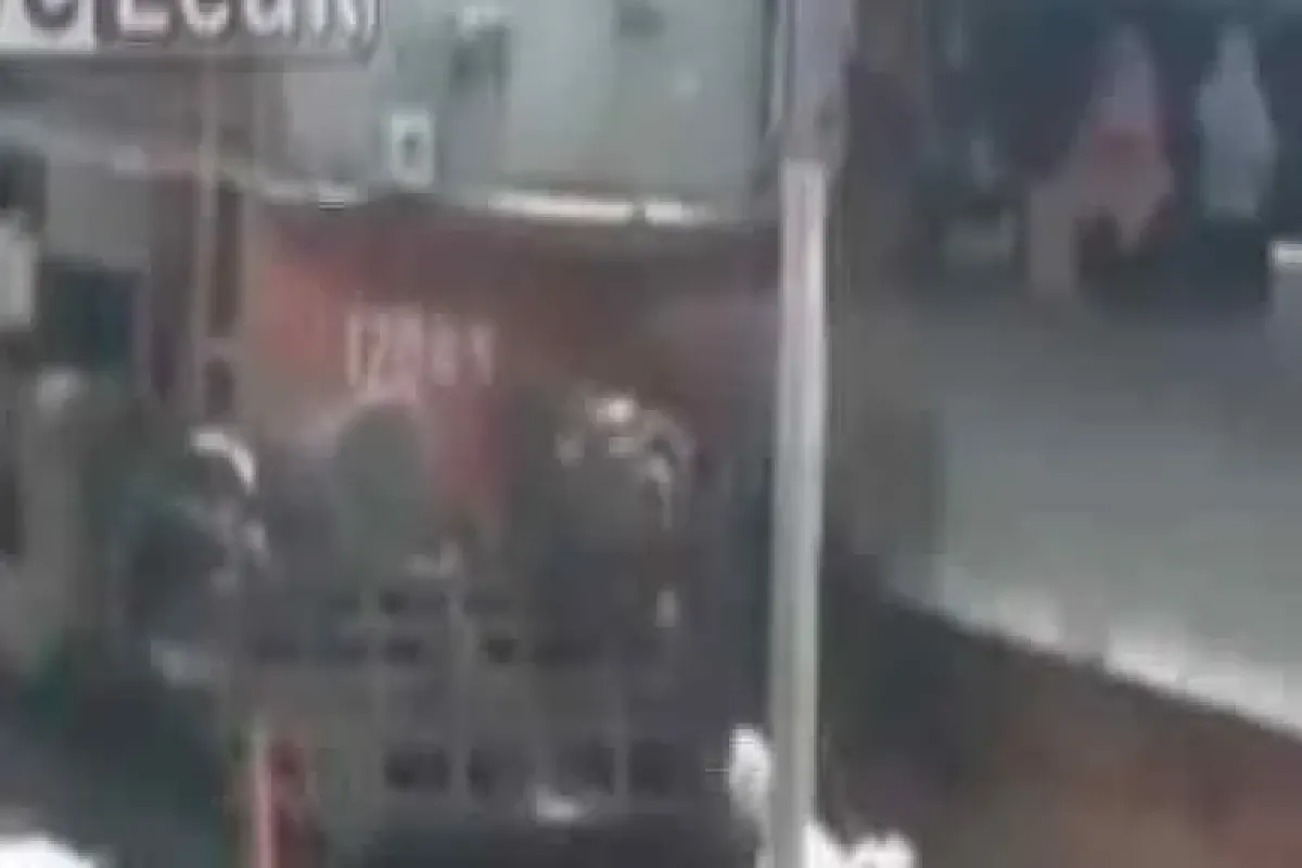 Yok Böyle Kurtuluş!