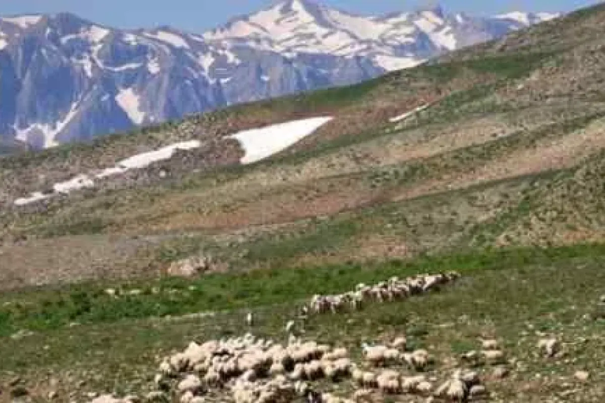 Pkk Iki Kardeşi Kaçırdı