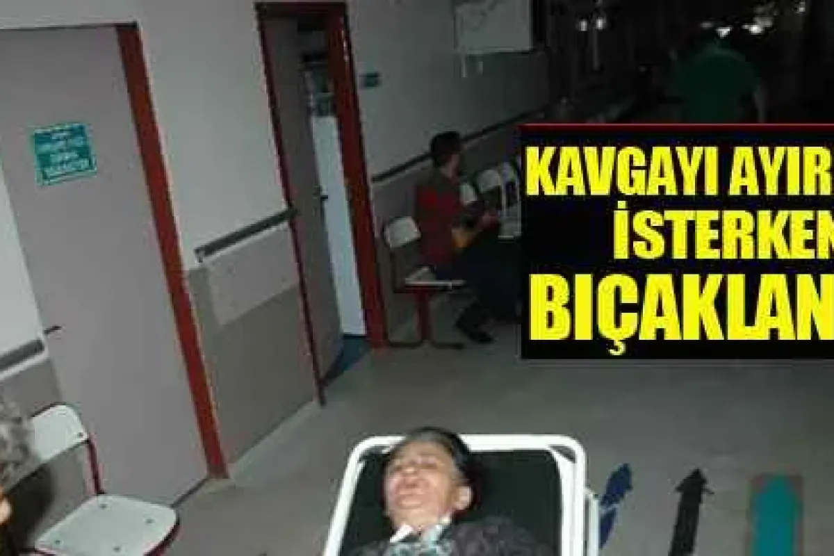 Yanlışlıkla Baldızını Bıçakladı