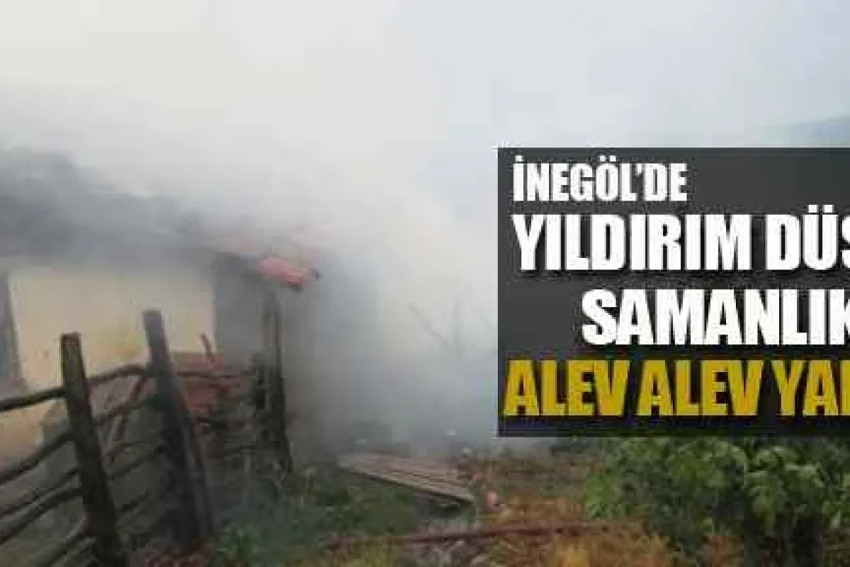 Yıldırım düşen samanlık alev alev yandı