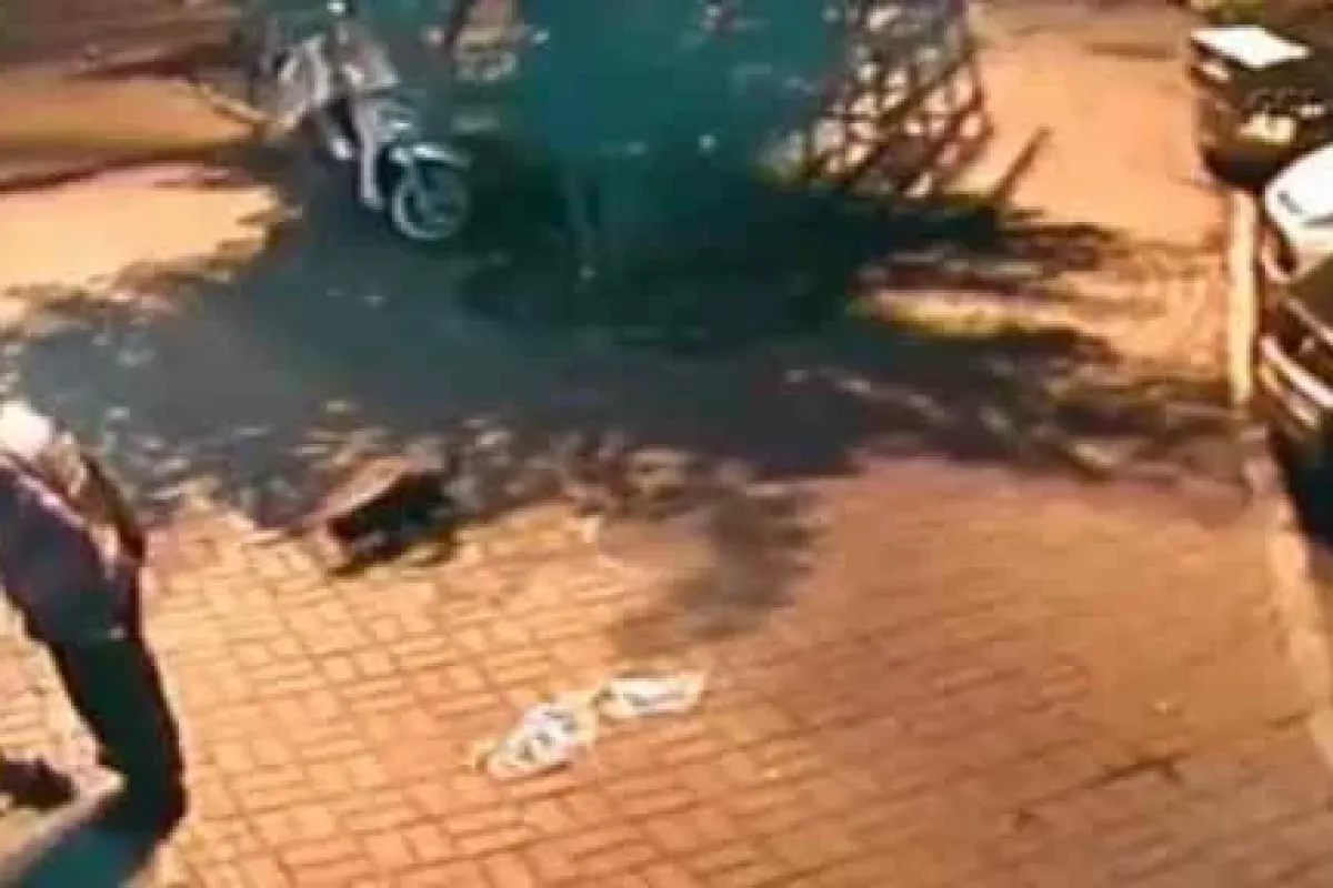 O Cani Yakalandı