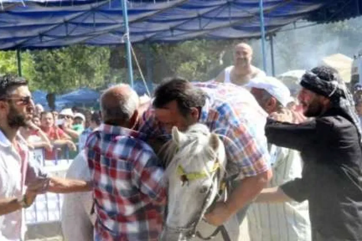 Hayır, At İsmail Türüt’ü Kaçırdı :)