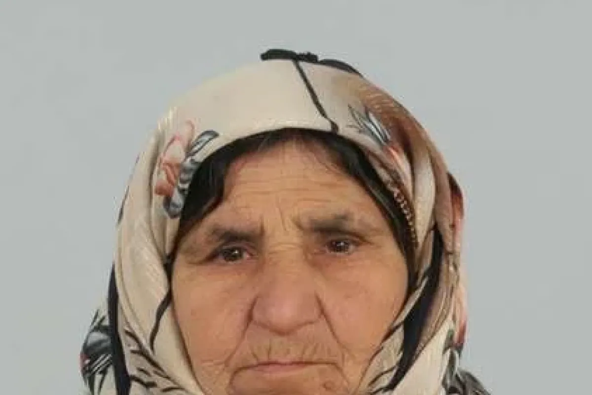 Annesini Balta Ile öldürdü