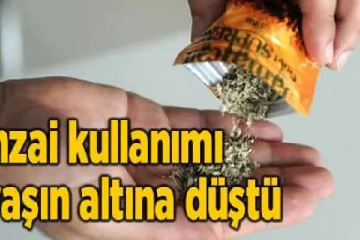 Bonzai kullanımı 11 yaşın altına düştü