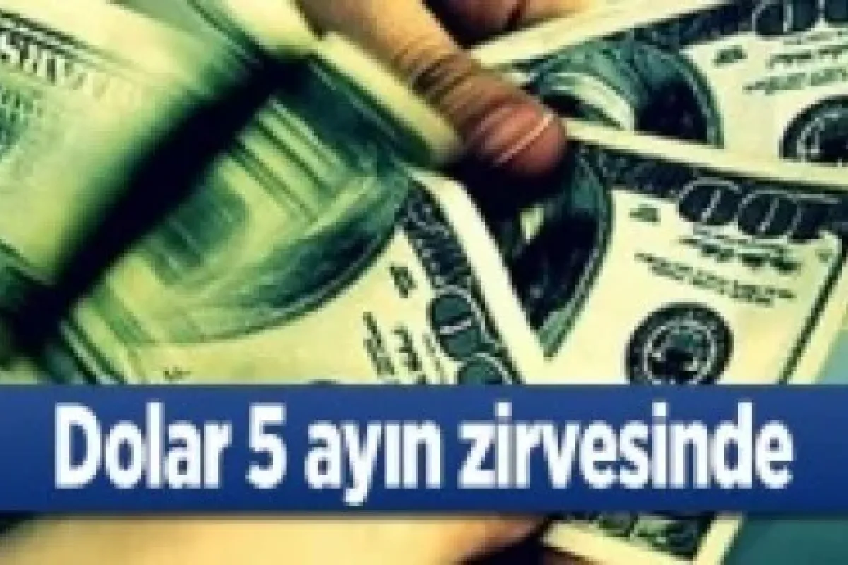 Dolar 5 ayın zirvesinde
