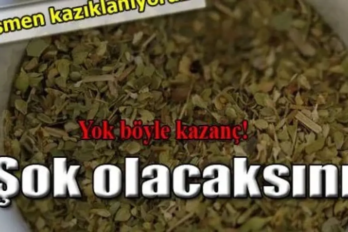 Aktarda 35 pakette 300 TL