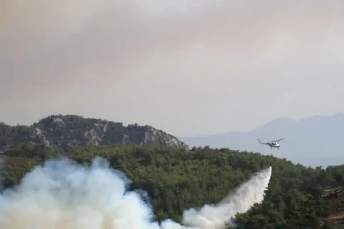 Milas’ta Büyük Korku !