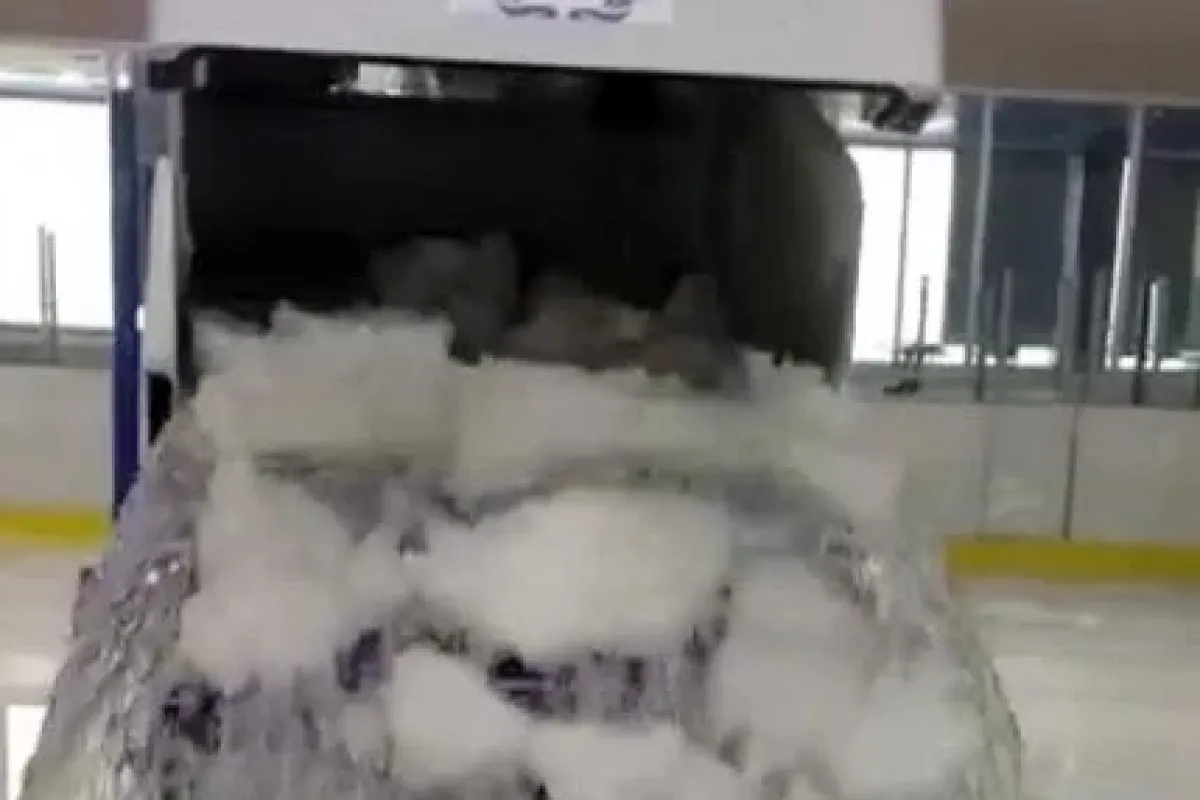 "als"nin De Cılkını çıkardılar