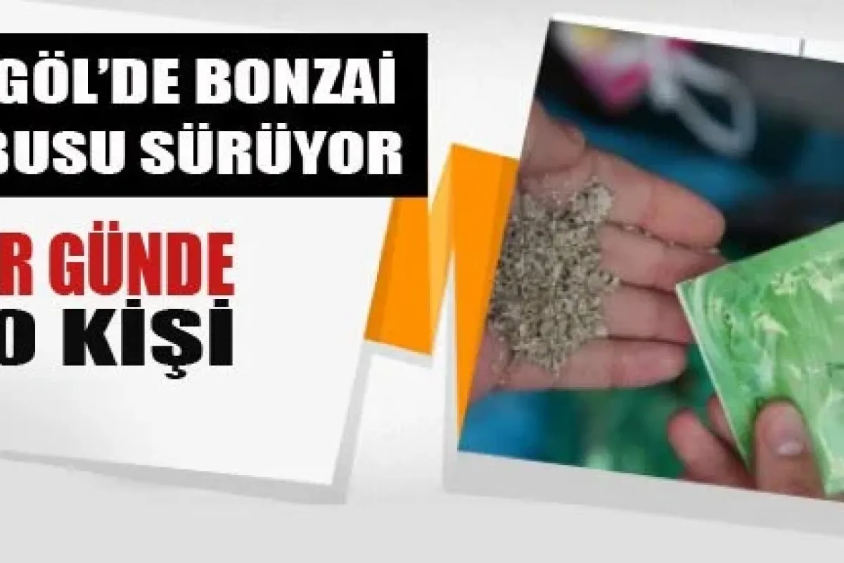 Bonzai 10 kişiyi hastanelik etti