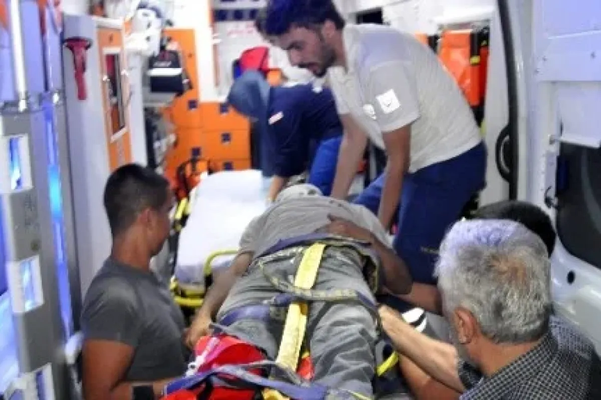 Topladığı Kağıtları Bırakmak Istemedi