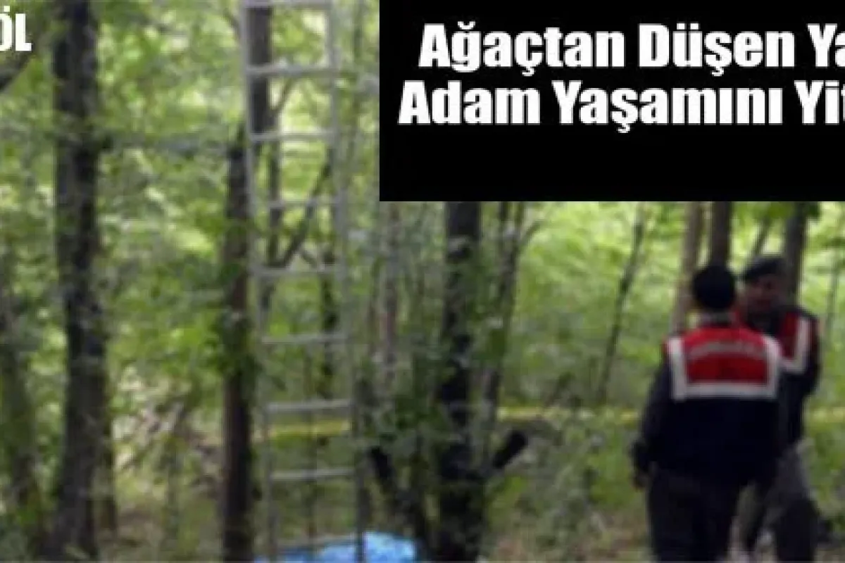 İnegöl'de ağaçtan düşen yaşlı adam hayatını kaybetti