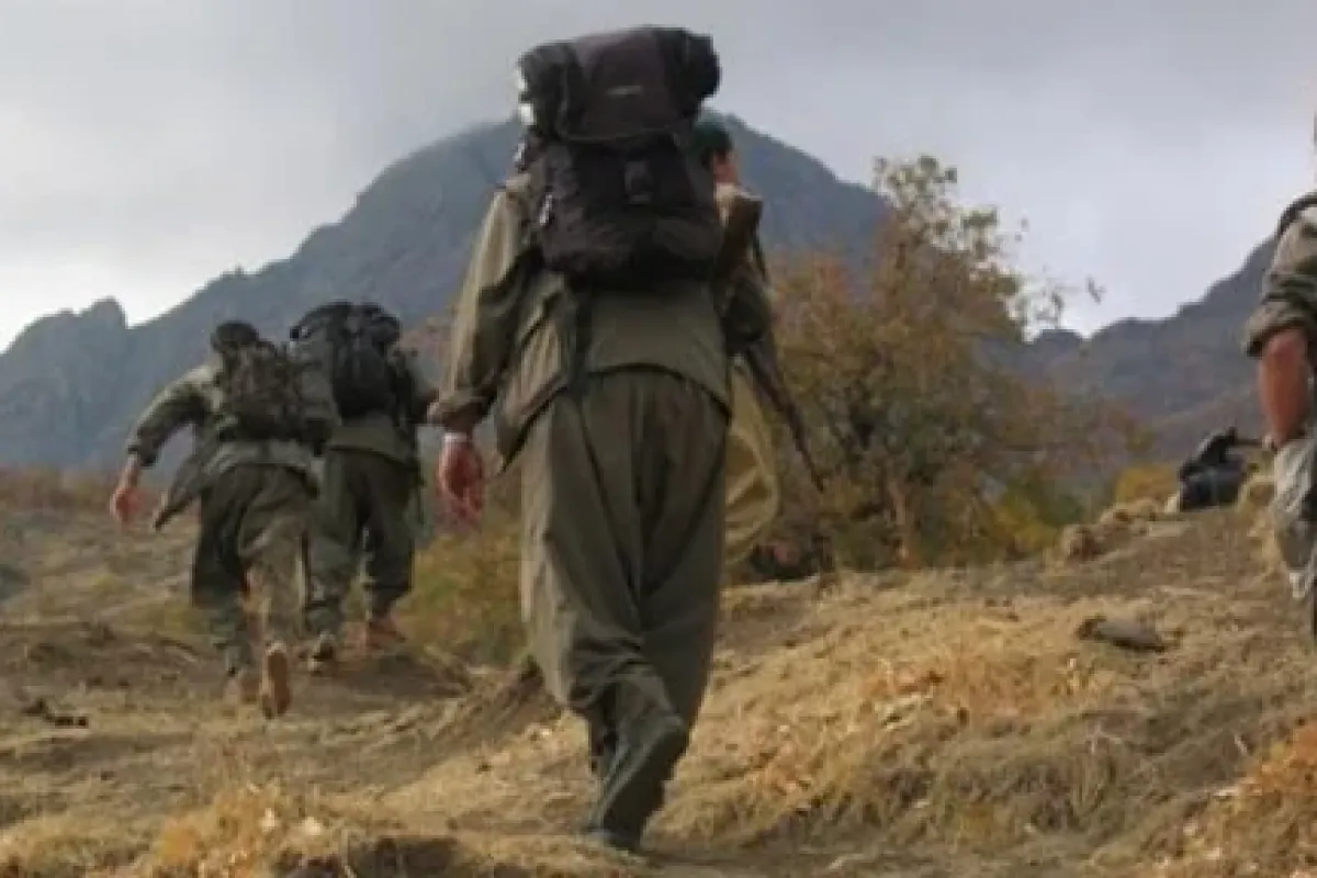 Pkk Iki Kardeşi Serbest Bıraktı