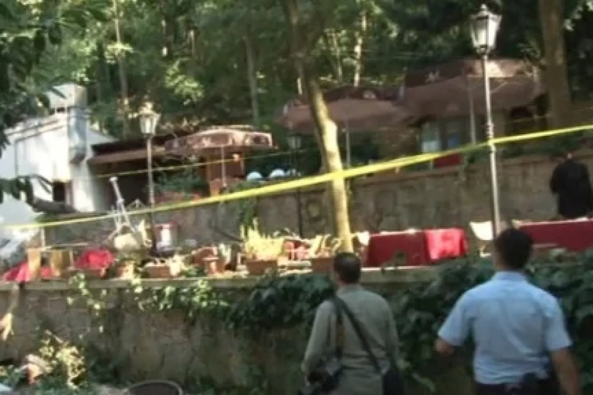 Beykoz’da Ağaç Faciası: 2 ölü