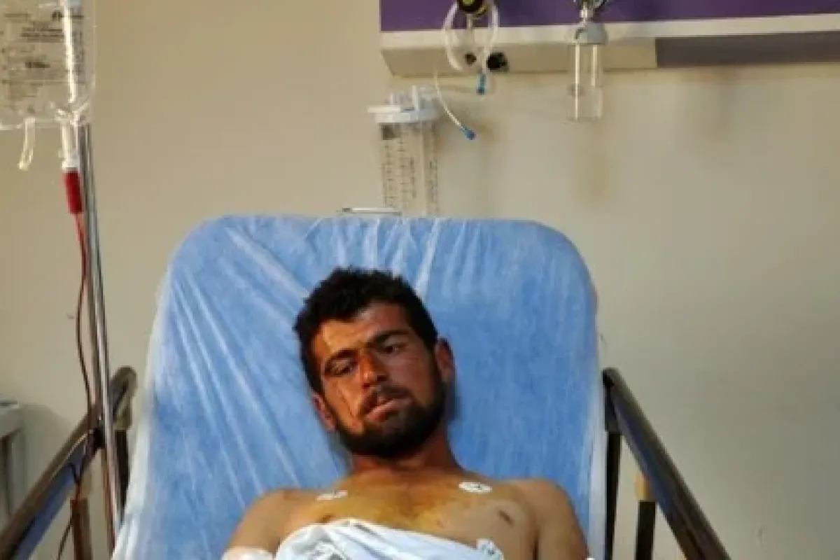 İşte Gerçek Ayıboğan !