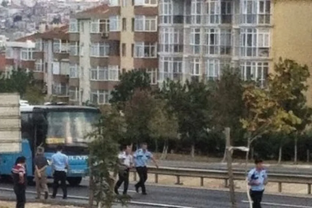 Karşıdan Karşıya Geçmek Isterken...