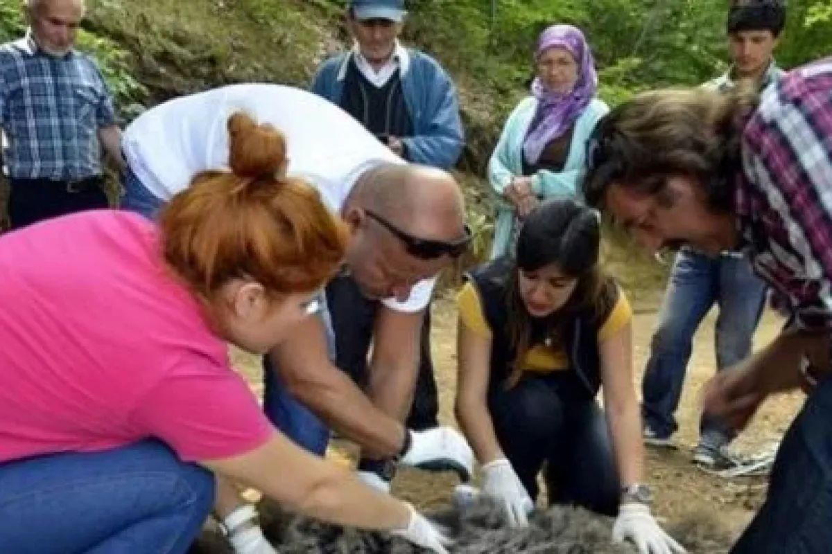 Domuz Kapanına Ayı Yakalandı