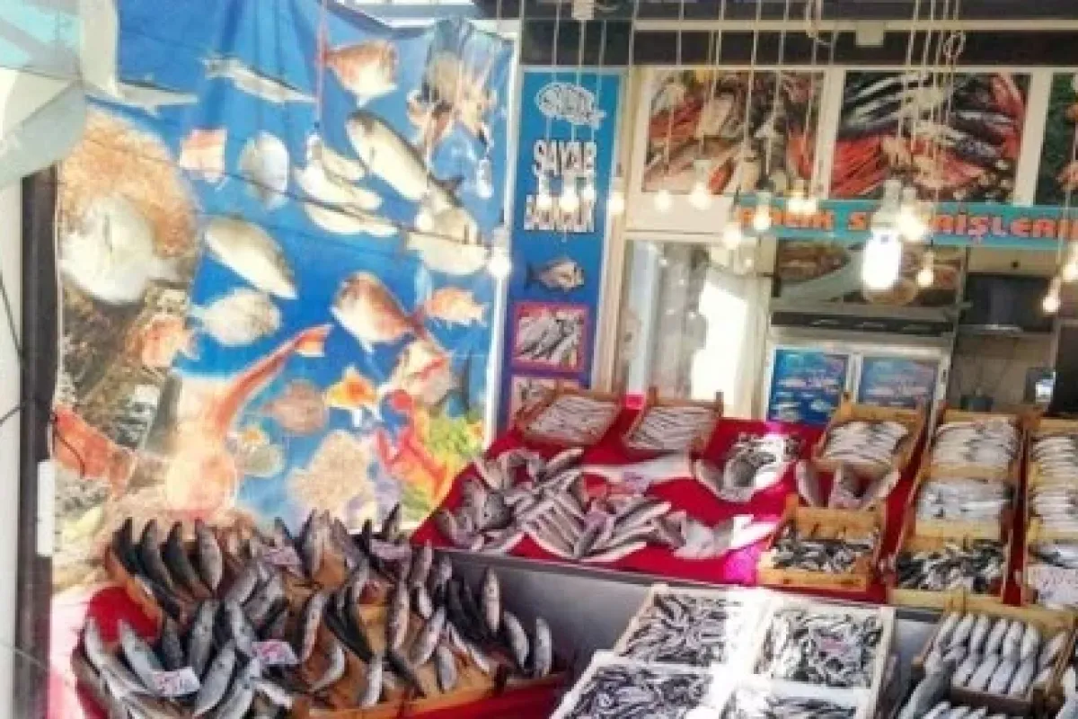 Balık Az, Fiyatlar Yüksek