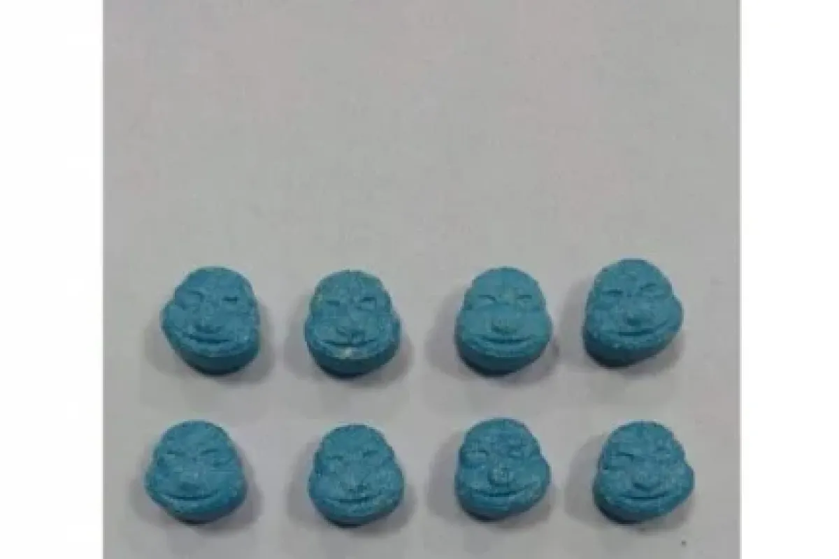 "ninja Kaplumbağa" Operasyonu: 28 Gözaltı