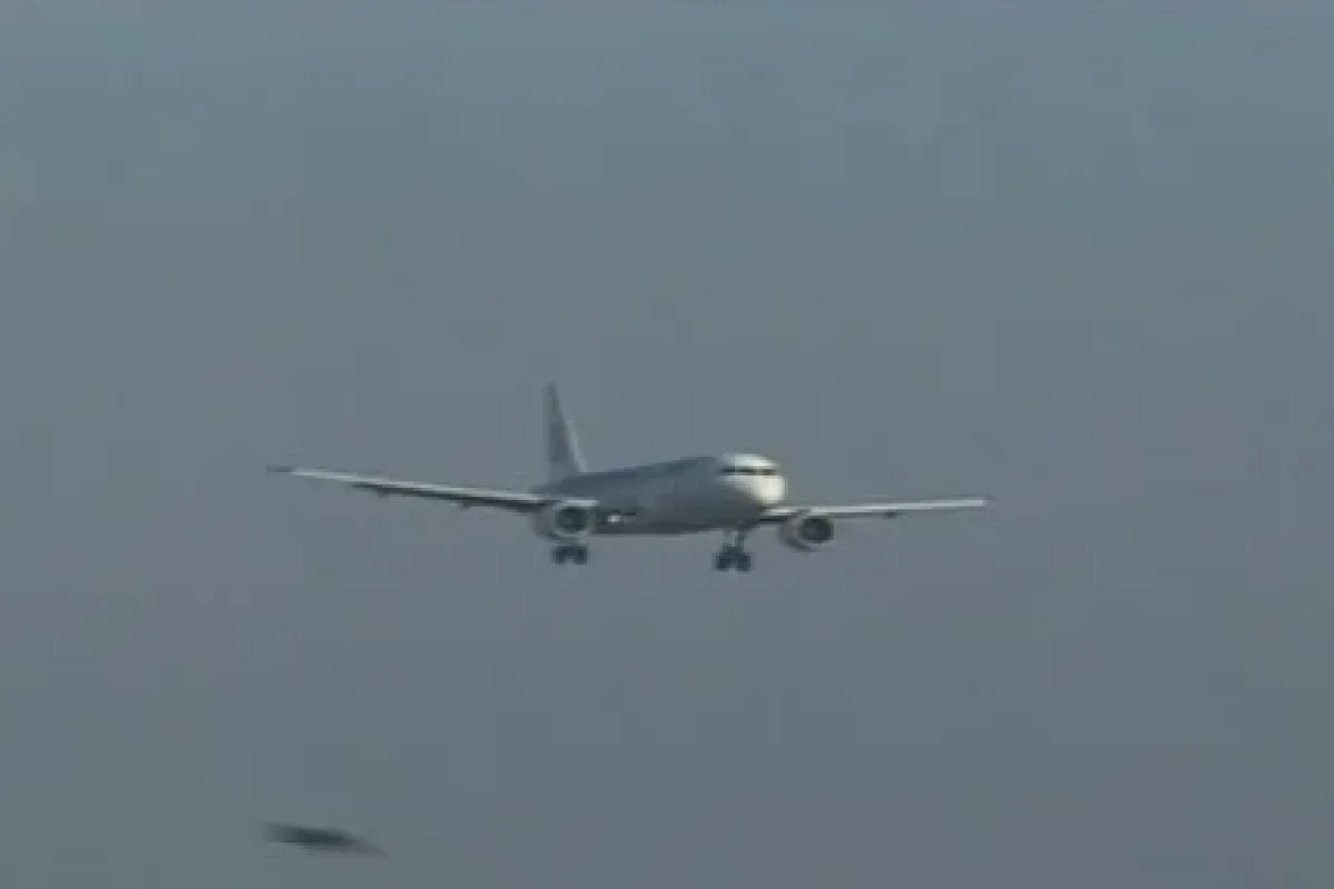 Pilotların Başı Martılarla Dertte
