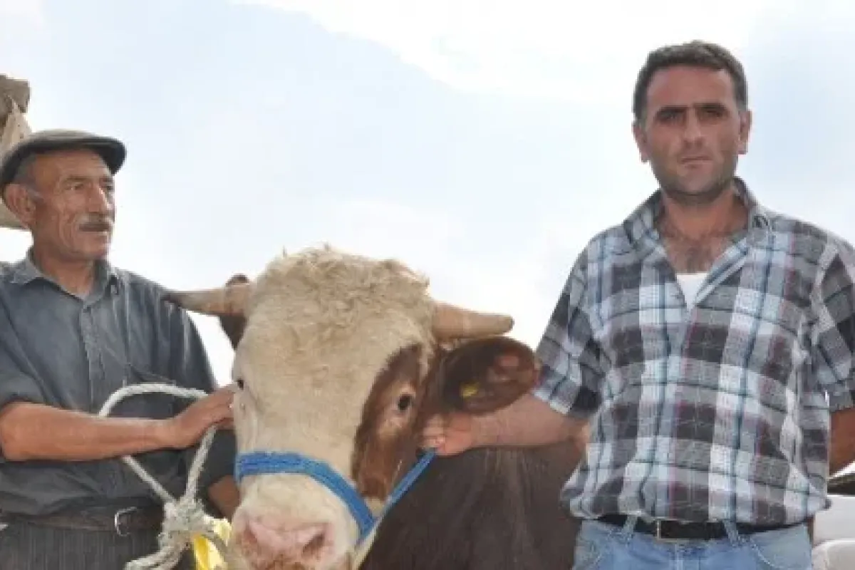 Otomobil Fiyatına Gitti