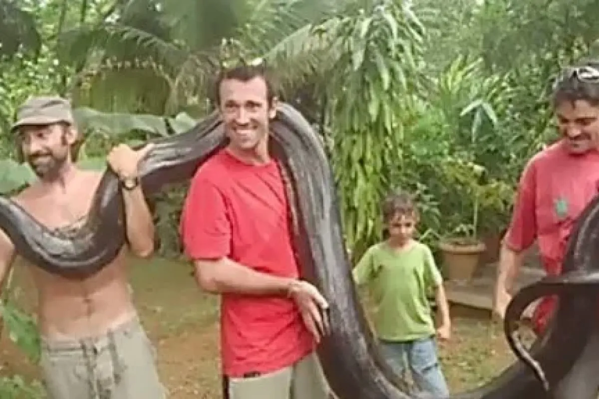 3 Kişinin Tutabiliyor Ama Elleriyle Tek Başına Yakaladı