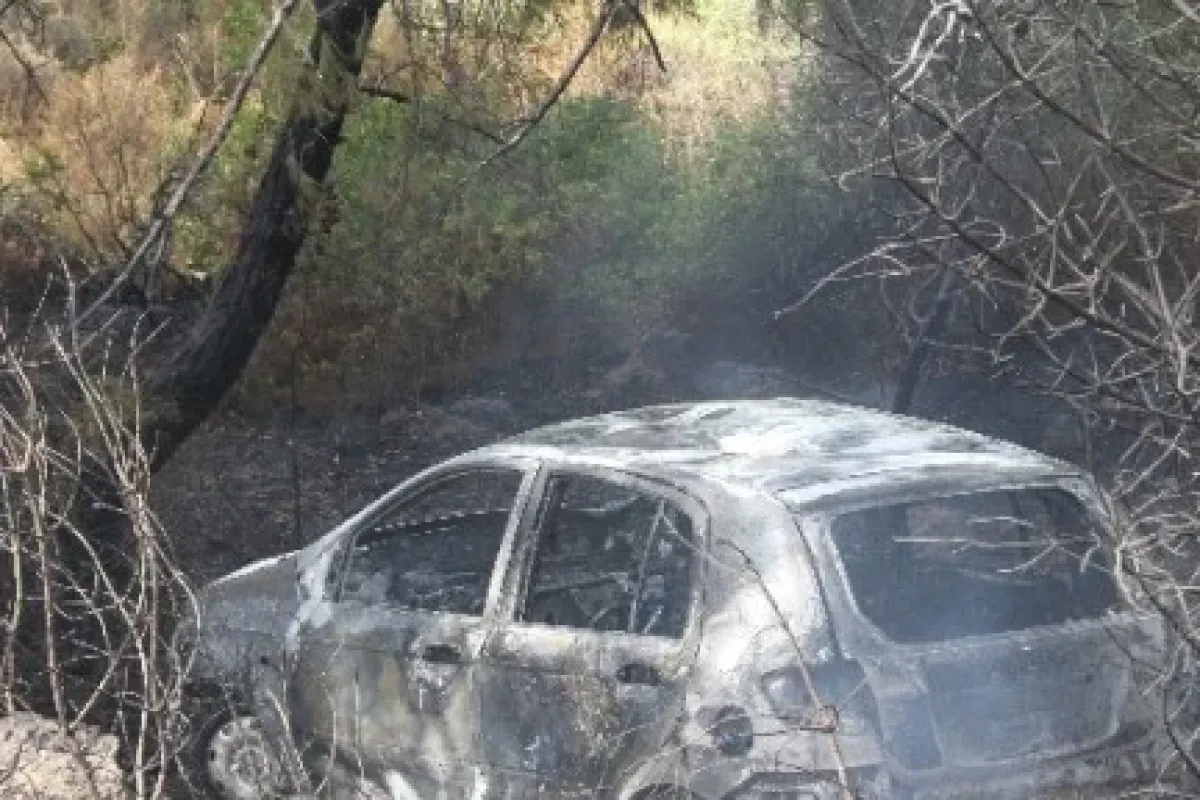 Bu Kaza Orman Yangınına Yol Açtı