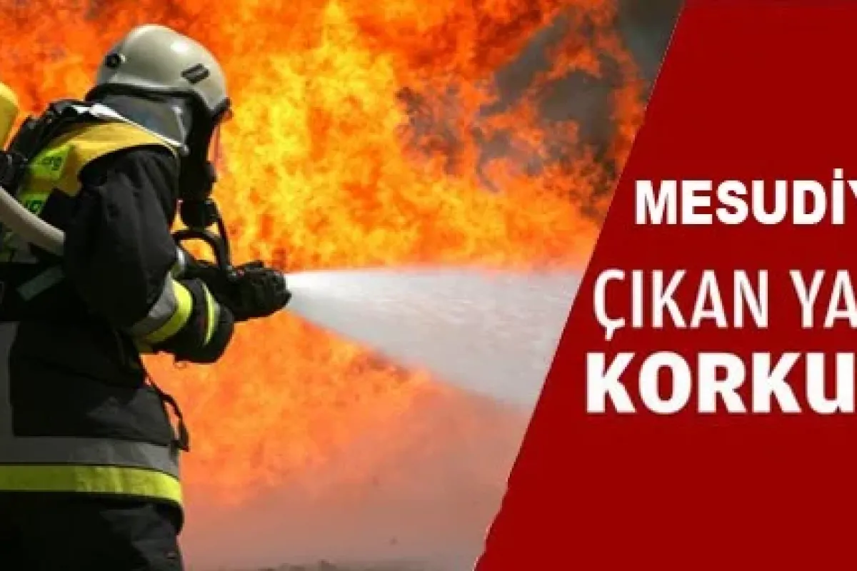 Mesudiye'de Çıkan yangın korkuttu!