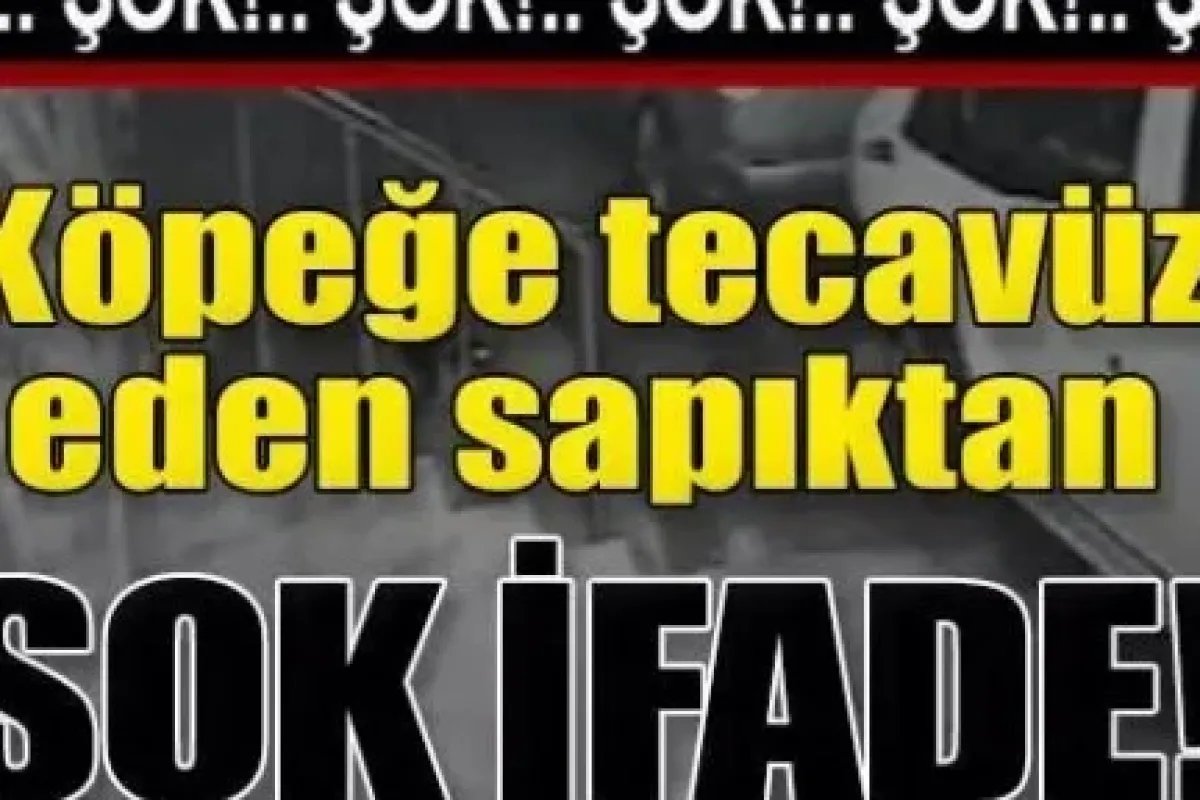 Köpeğe tecavüz eden sapıktan şoke eden açıklama