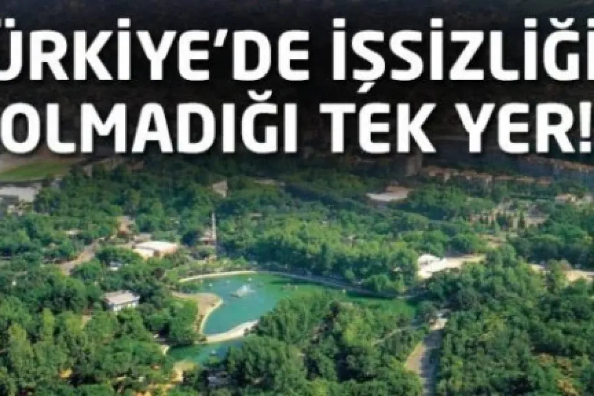 Türkiye'de işsizliğin olmadığı tek ilçe