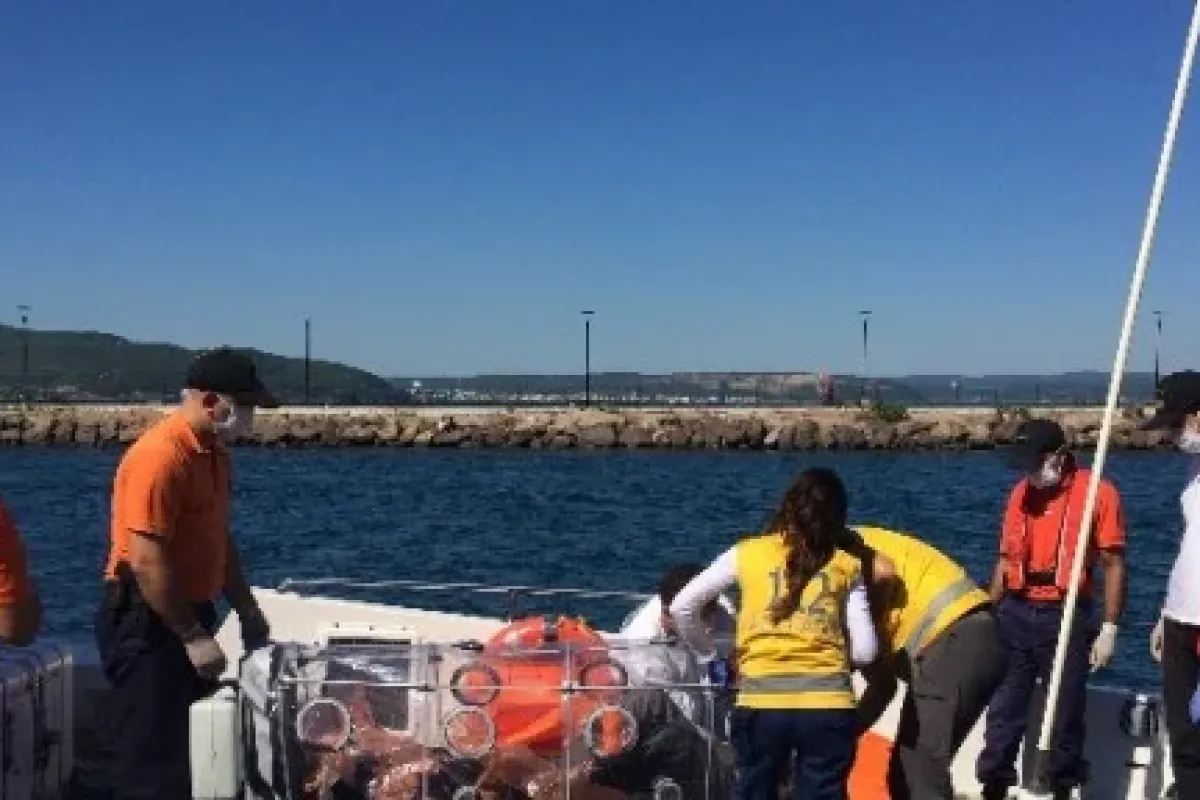 Türkiye’de Ebola Can Mı Aldı ?