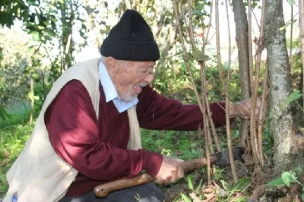 İşte Giresunluların Uzun Yaşama Sırrı