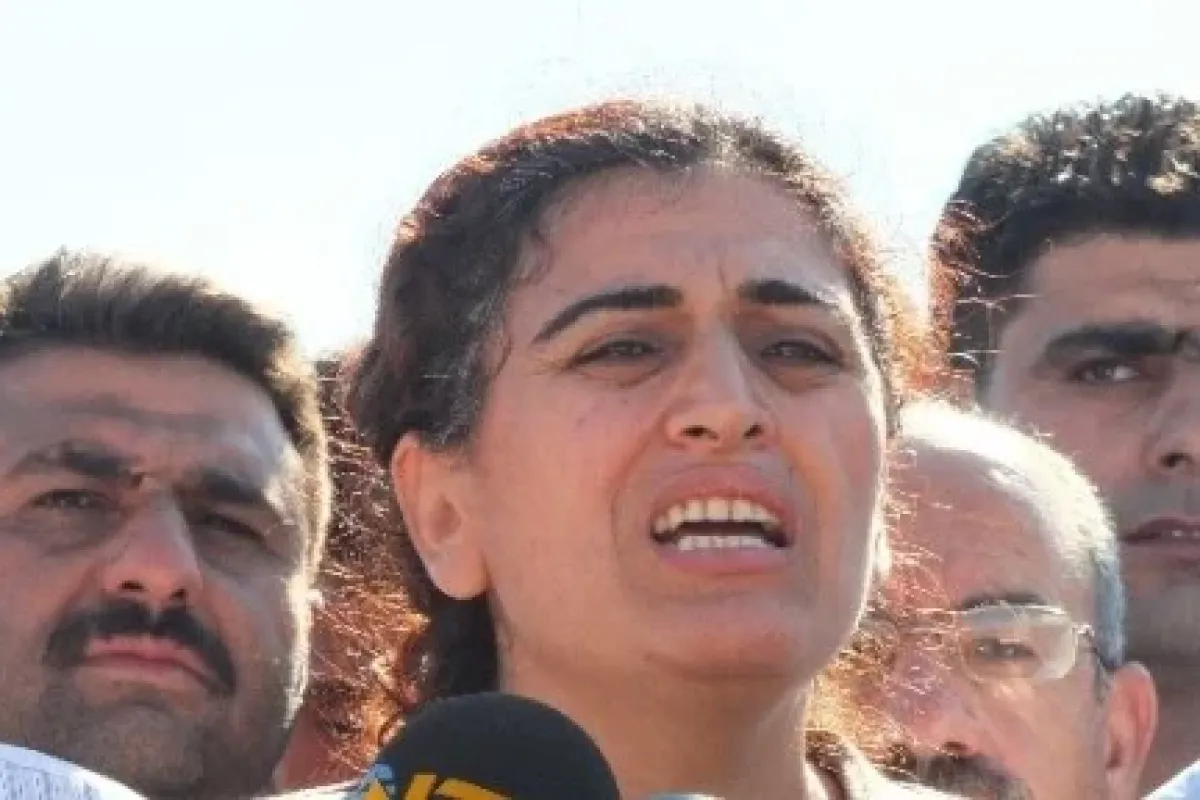 Pes Artık: "kobani Düşerse... "