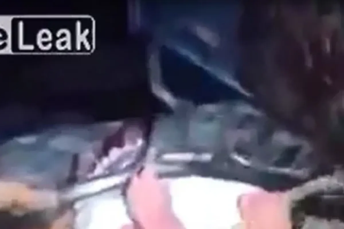 Dehşete Düşüren Görüntü
