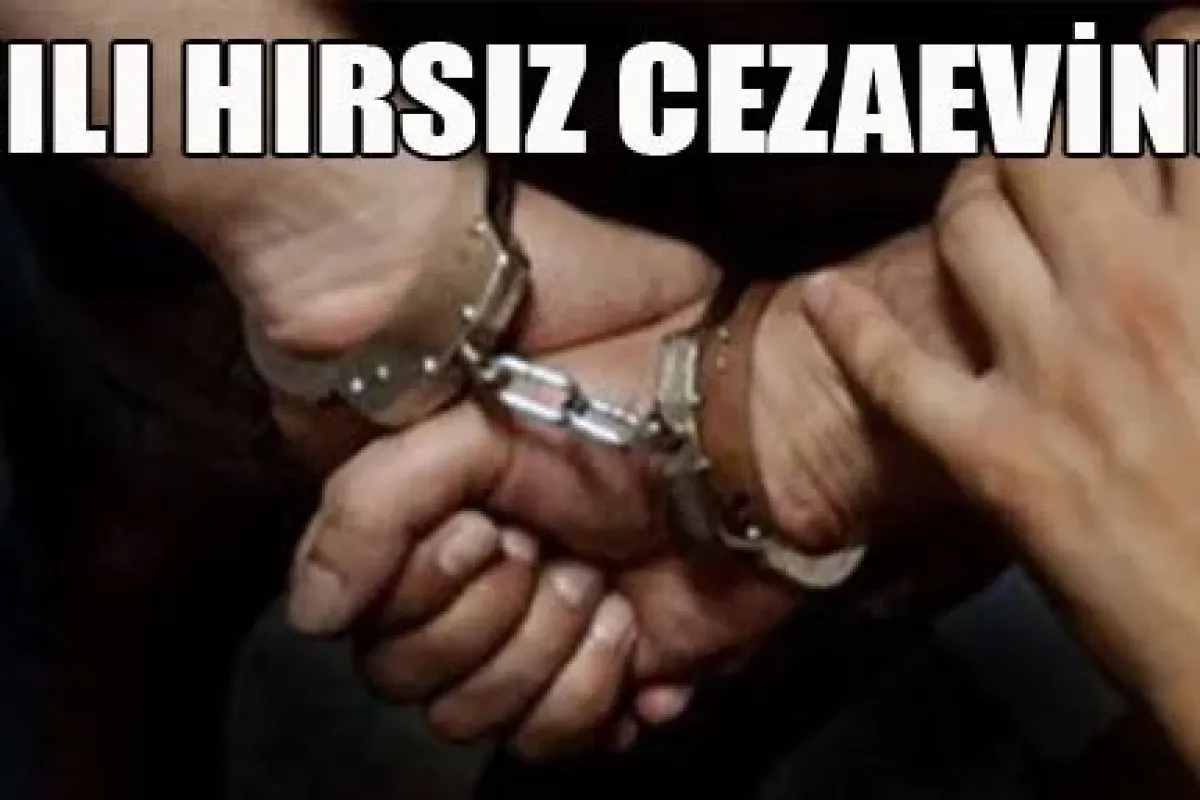 Hırsıza 11 Yıl Hapis