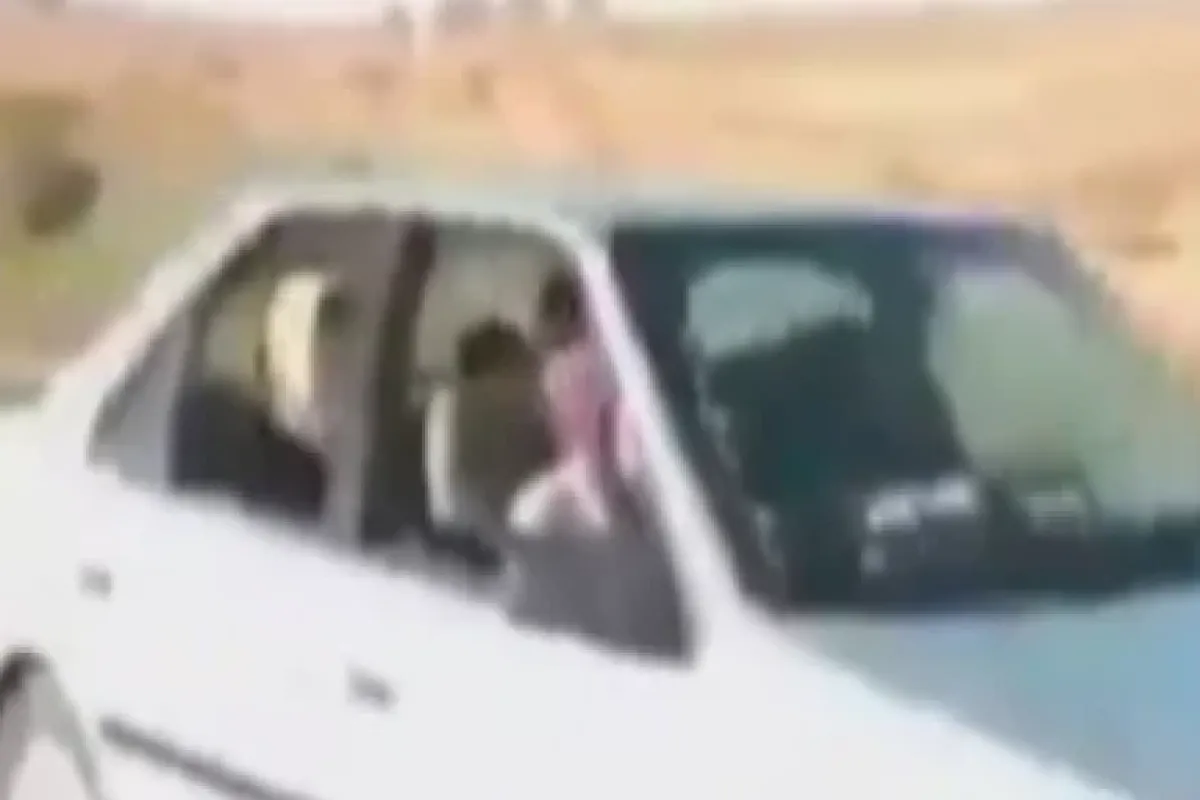 Eğlence Faciaya Dönüştü