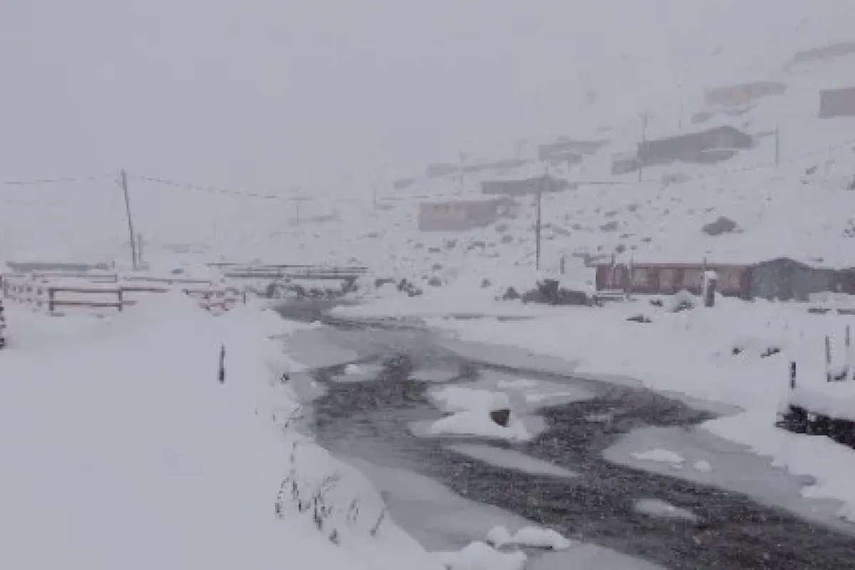 Rize’de Kar Yarım Metreyi Aştı