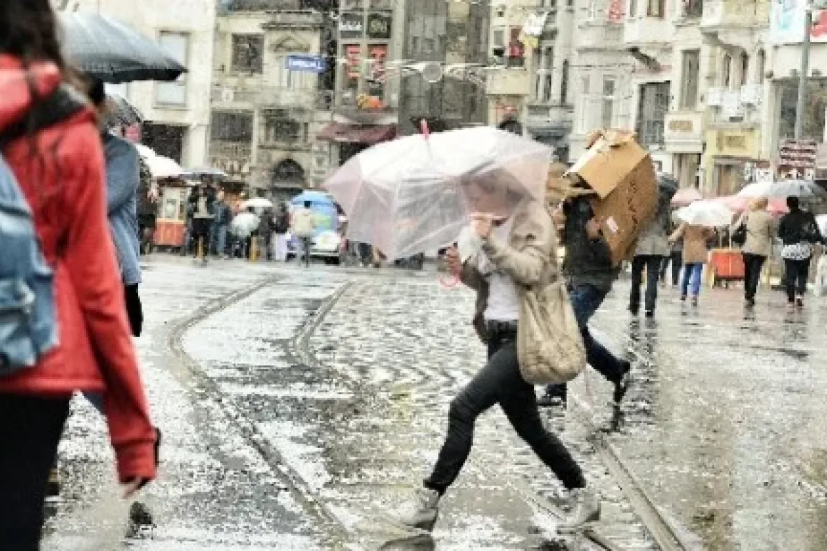 Bir Metrekaresinin Kirası 335 Dolar