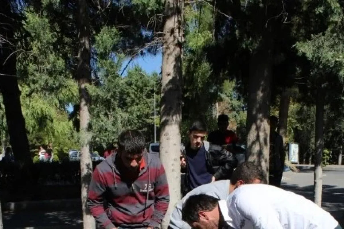 Ölenler Için Fidan Diktiler