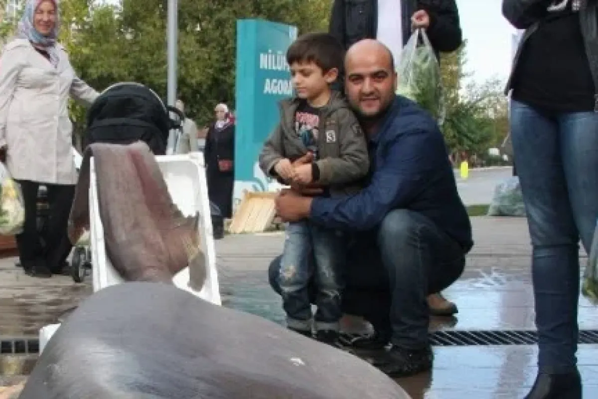 Tam Tamına 673 Kilo