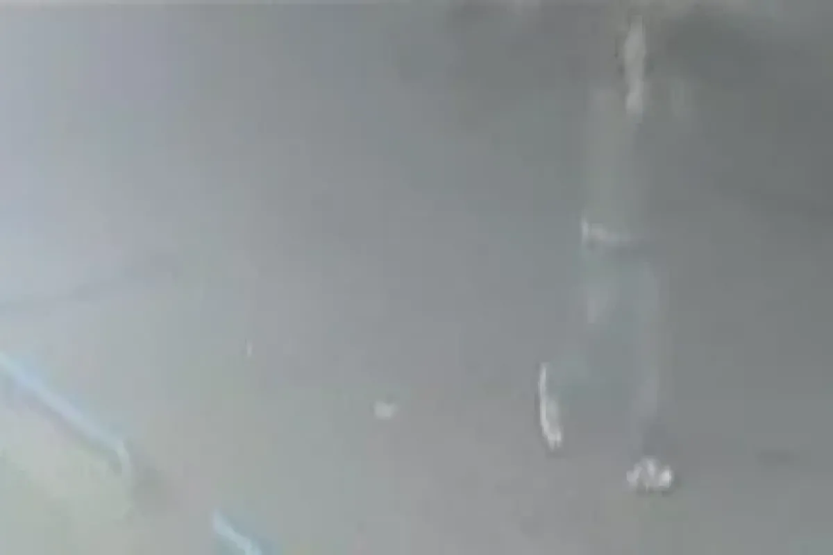 Önce Kavun Sonra Kamerayı çaldı