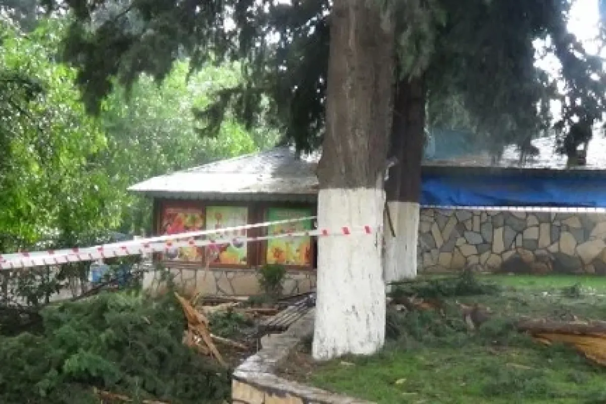 Parkta Dehşet: 3 öğrenci Yaralı