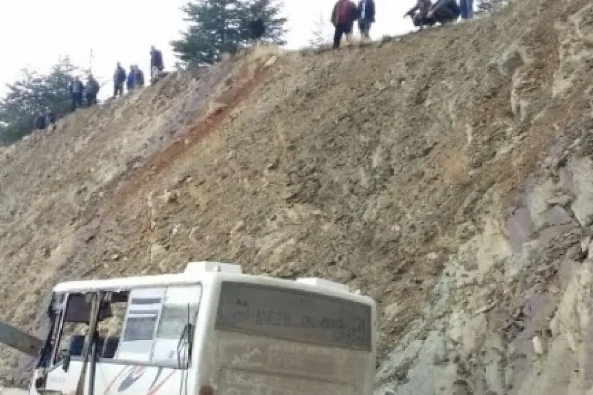 Elma Toplamaya Gidiyorlardı