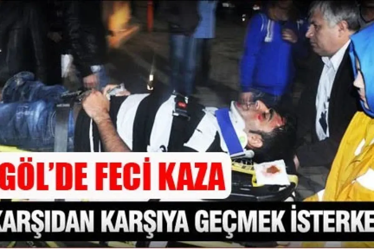 Karşıdan karşıya geçmek isterken...
